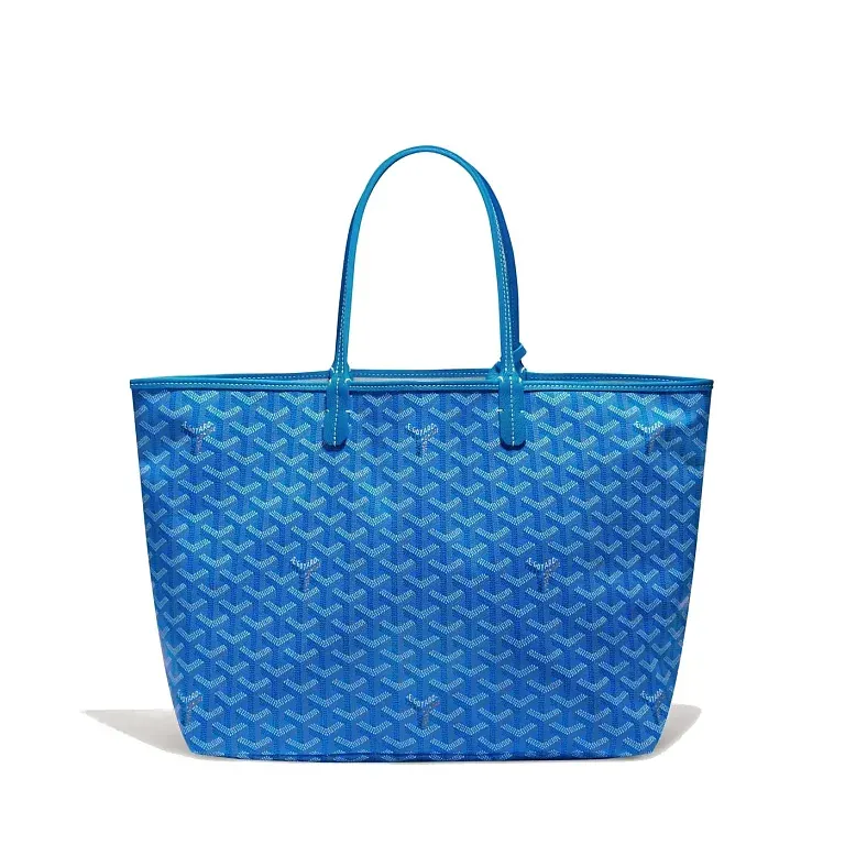 Сумка-тоут Saint Louis PM Goyard Sky Blue - фото 1