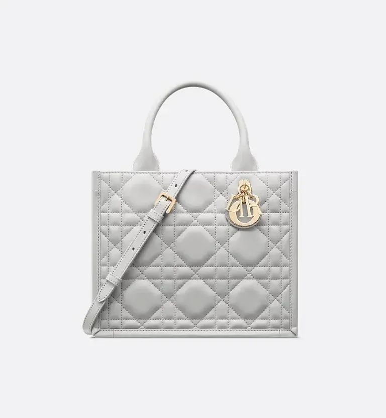 Сумка Book Tote calfskin маленького формата Dior Cloud Gray - фото 1