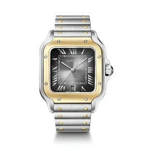 Cartier Часы Santos de watch Men - фото 1