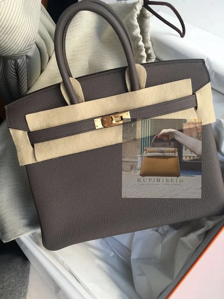 Hermes Birkin 25 Gris Etain Togo Gold Hardware - фото 1