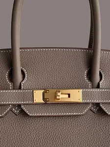Hermès Сумка Birkin 30 Etoupe Togo Gold Hardware - фото 4