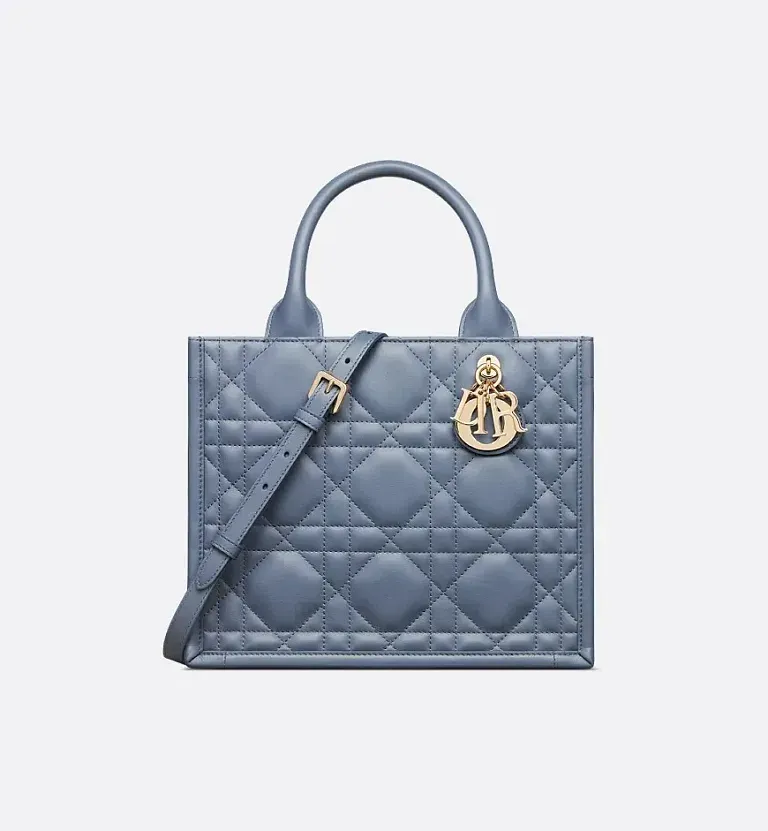 Сумка Book Tote calfskin маленького формата Dior Denim Blue - фото 1